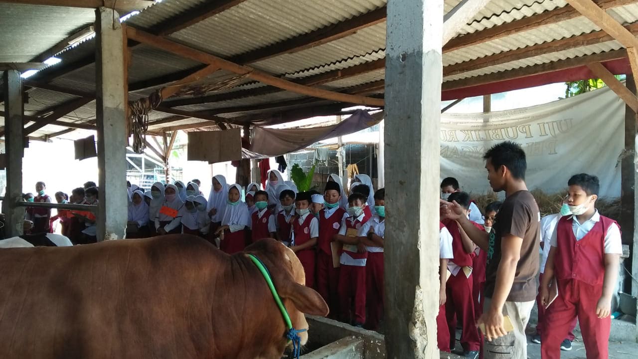 Kegiatan Luar Kelas SDIT Assalamah Depok